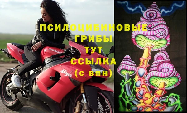 прущий лед Арсеньев